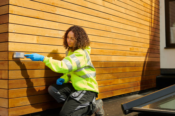 Best Custom Trim and Detailing for Siding  in South Hill, VA