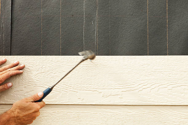 Best Brick Veneer Siding  in South Hill, VA